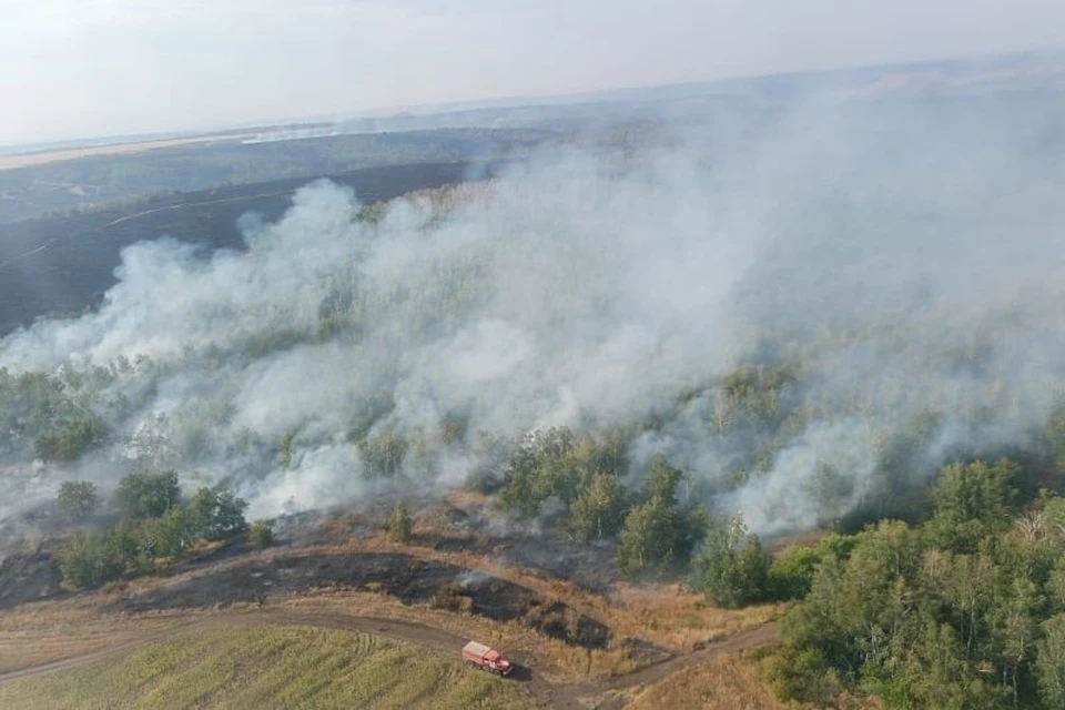 От пожара пострадало 60 гектаров земли в Орске