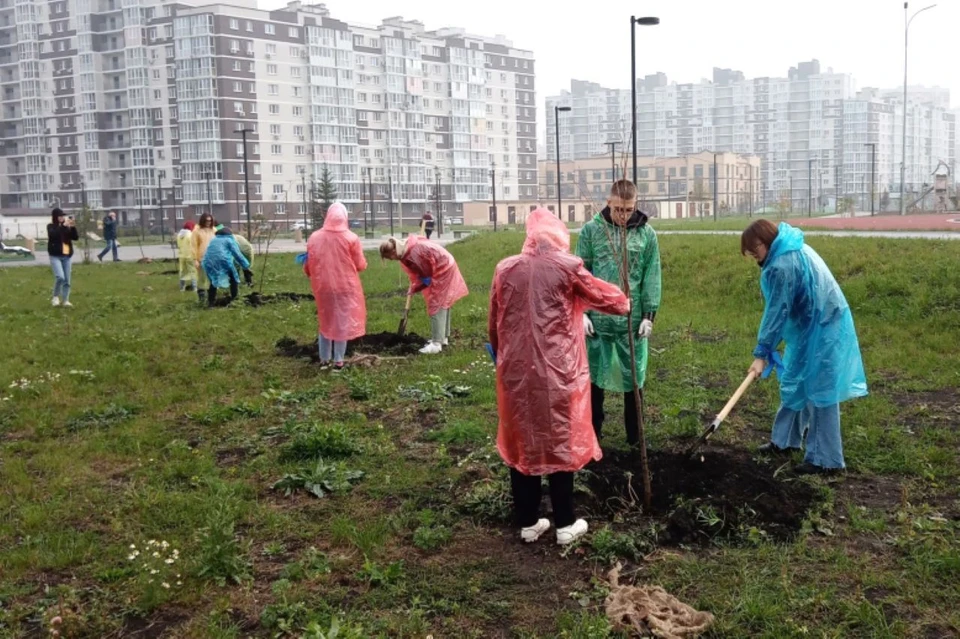Фото: пресс-служба администрации Липецка