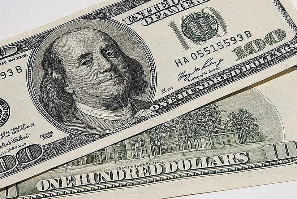 Экономист дал совет россиянам, что делать со сбережениями в долларах
