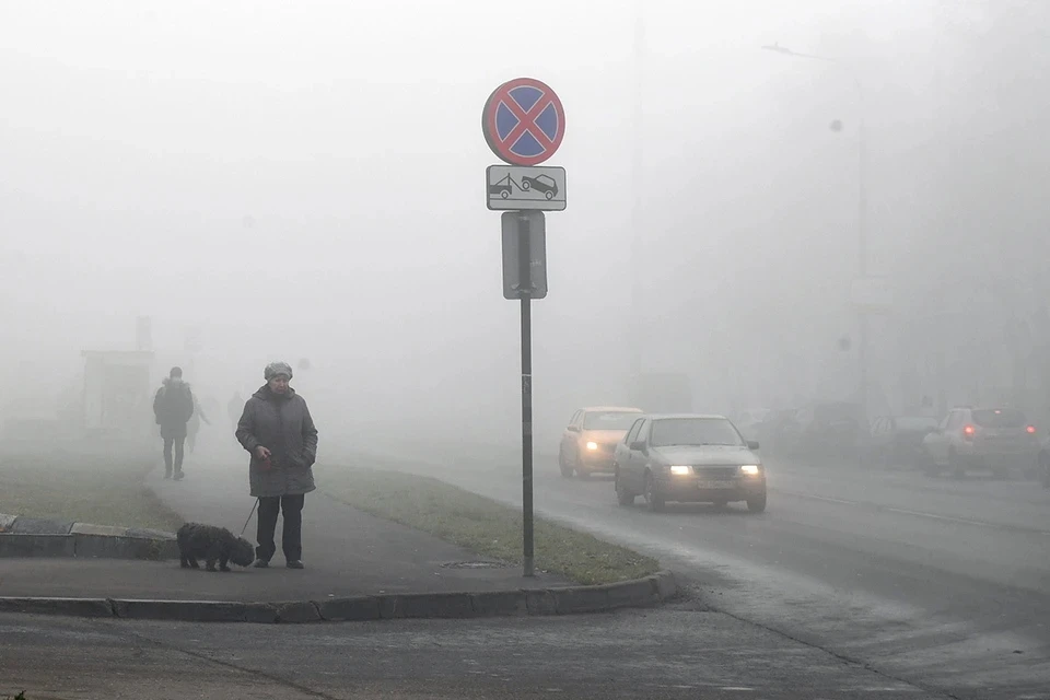 Видимость на дорогах Москвы ухудшилась из-за непроглядного тумана