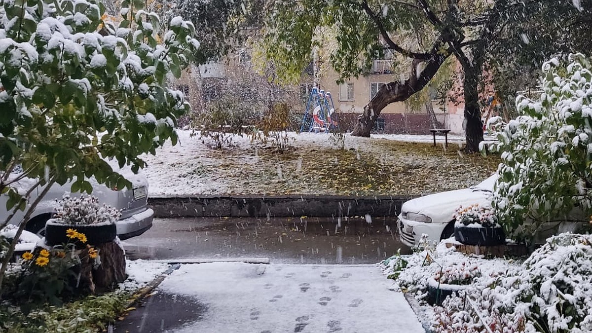 Там снег выпал. Первый снег в Новосибирске. Выпал снег. В Новосибирске сейчас снег. Первый снег 2022.