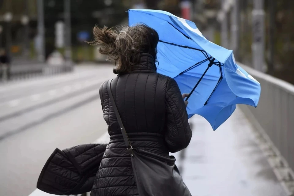 Желтый уровень опасности из-за дождя и порывистого ветра объявили в Московском регионе