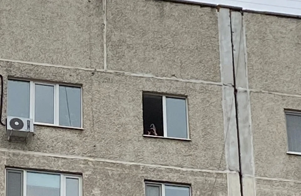 Жители Тюмени жалуются на человека с биноклем, наблюдающим за школой №89.