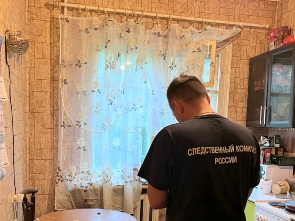 Убийство произошло из-за спора о политике. Фото: СКР по МО