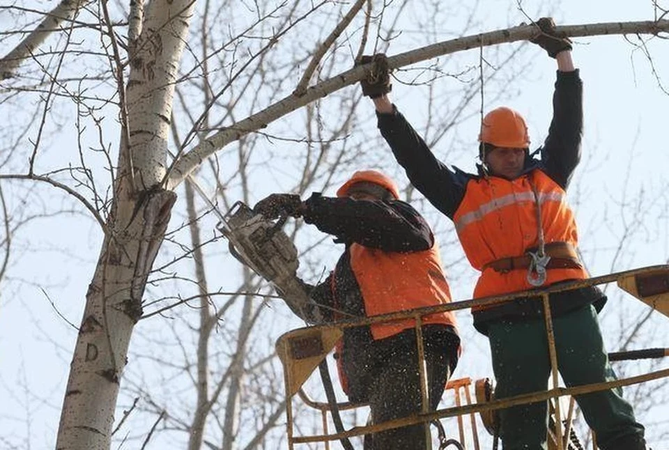 Причиной отключения электричества стала опиловка высоковольтных линий
