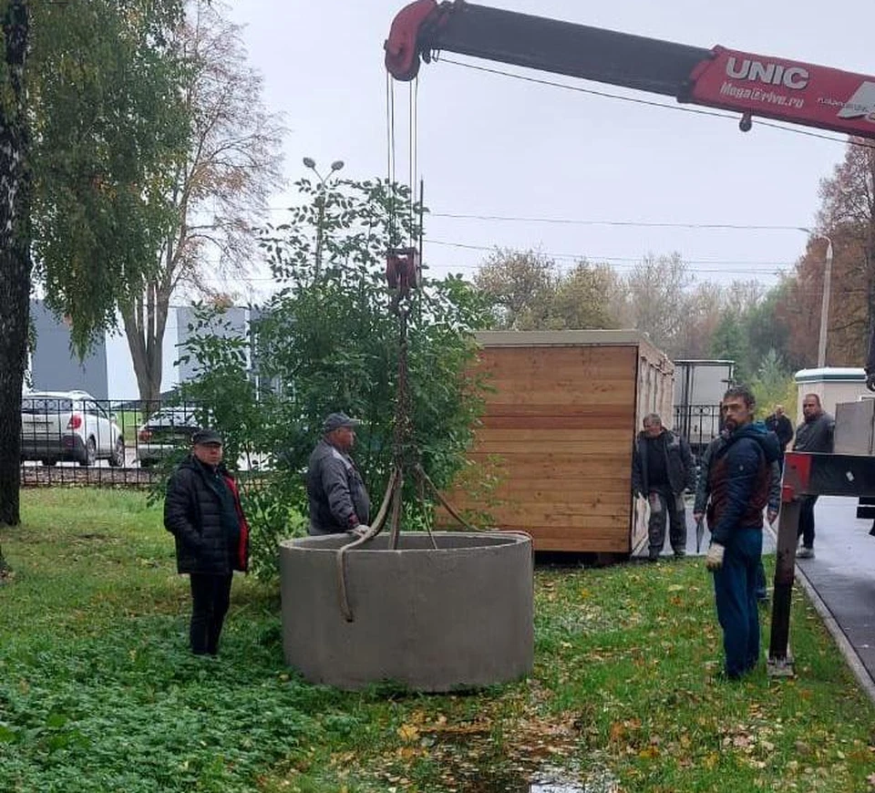 В Баташевском саду и Рогожинском парке Тулы в ноябре появятся туалеты -  KP.RU