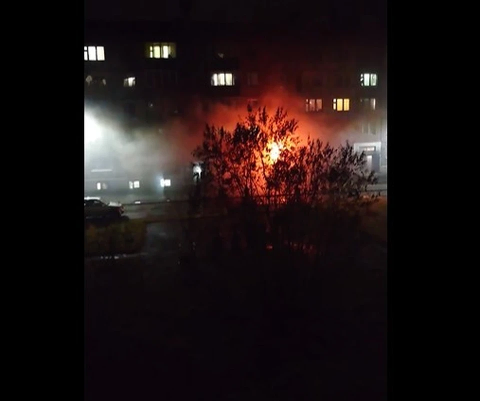 Фото: Ярослав Шапошников