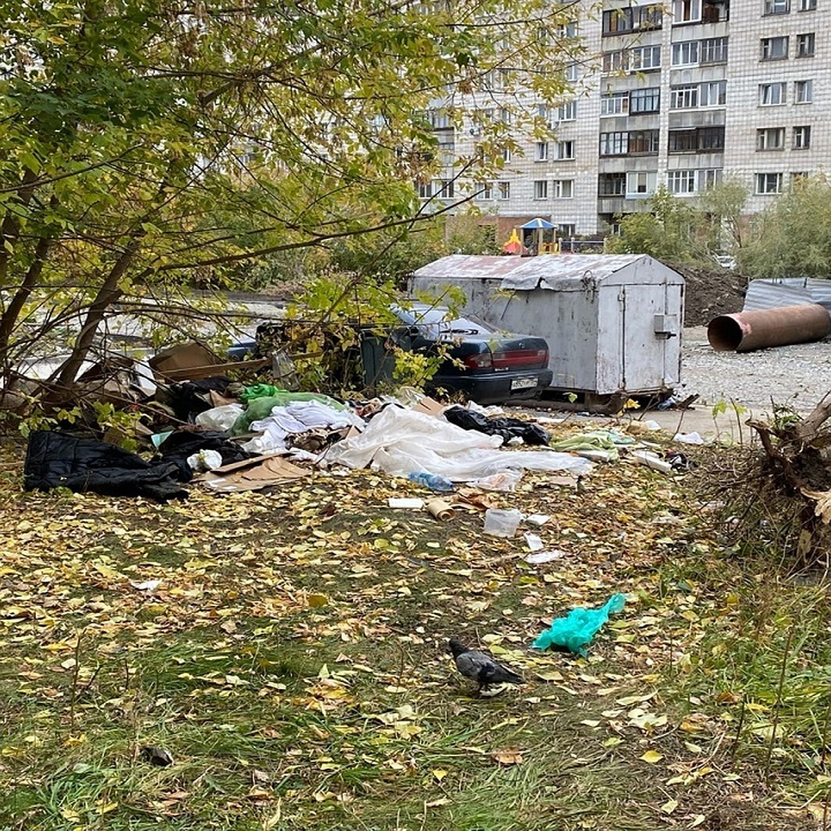 В Новосибирске разобрали жилище женщины-бомжа, пугавшей детей у высотки -  KP.RU