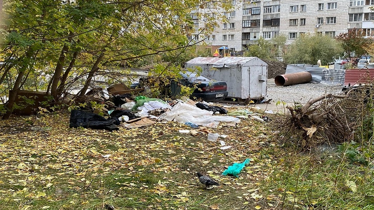 В Новосибирске разобрали жилище женщины-бомжа, пугавшей детей у высотки -  KP.RU