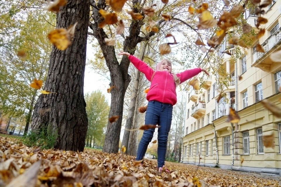 Ясные дни золотой осени - отличное время для фотосессий!