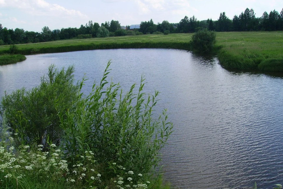 Участок пермский край. Сюзьва река Пермь. Река Сюзьва Пермский край. Рыбалка на реке Сюзьва. Река Сюзьва Пермский край рыбалка.