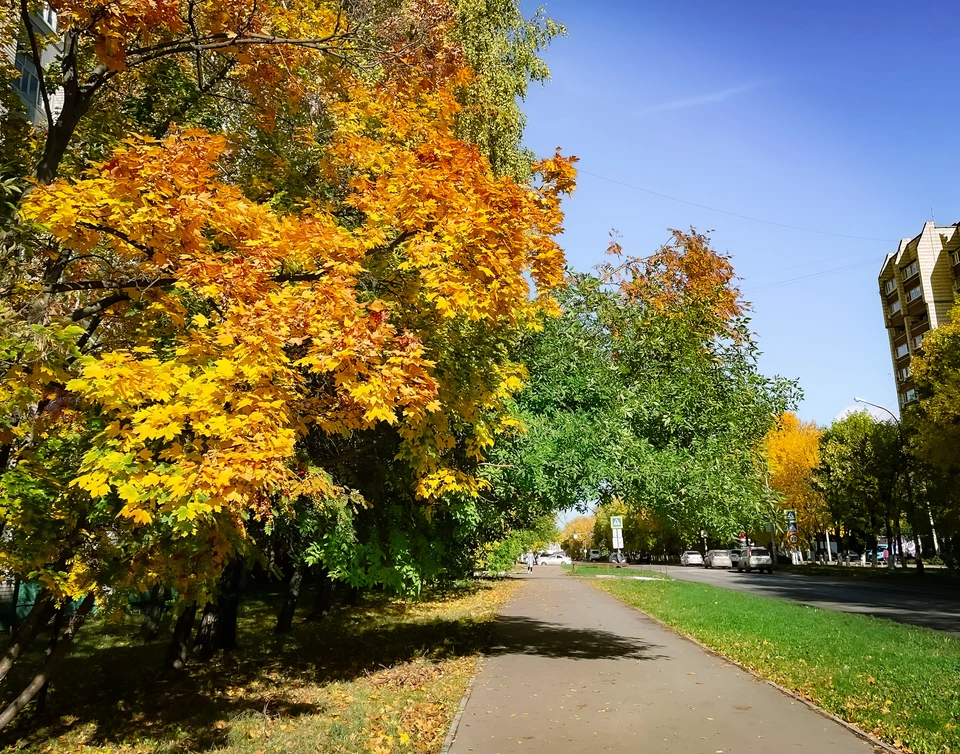 Фото автора.