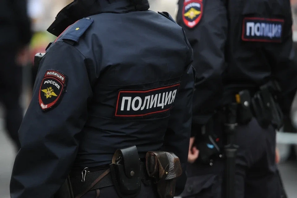 Полиция оперативно задержала дебошира