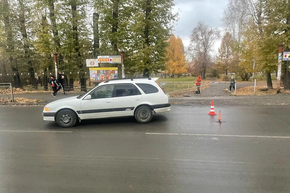 Ребенка сбили, когда он перебегал дорогу. Фото: ГИБДД по Новосибирску