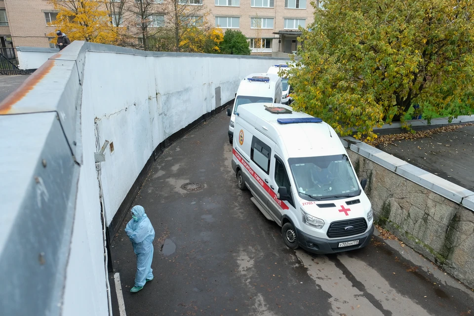 Петербургским медикам очень порекомендовали не ездить за границу.