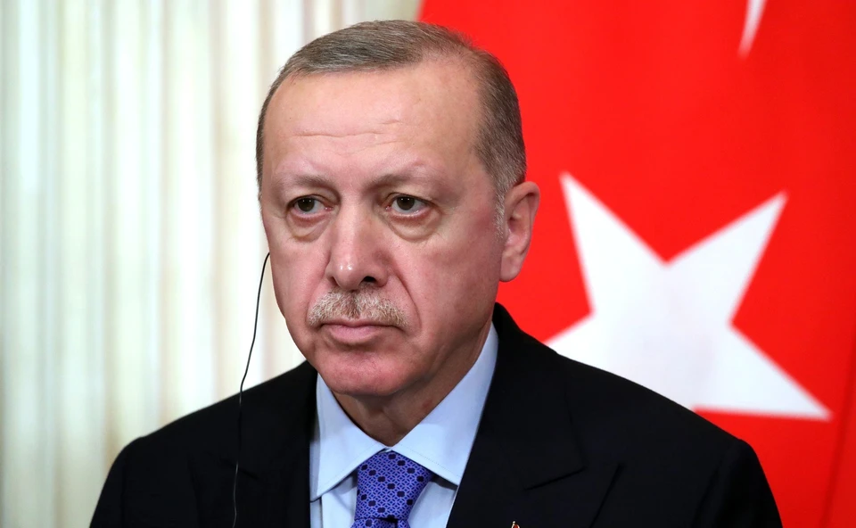 Эрдоган заявил о создании в кратчайшие сроки в Турции международного газового хаба