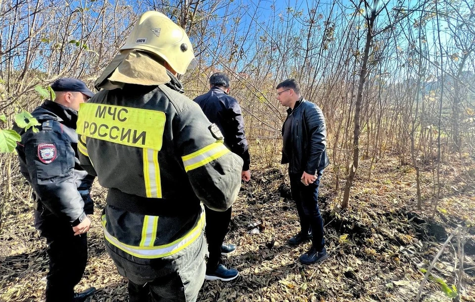 Глава Белгородской области призвал жителей воздержаться от посещения лесополос во всех приграничных муниципалитетах. Фото из телеграм-канала Вячеслава Гладкова.