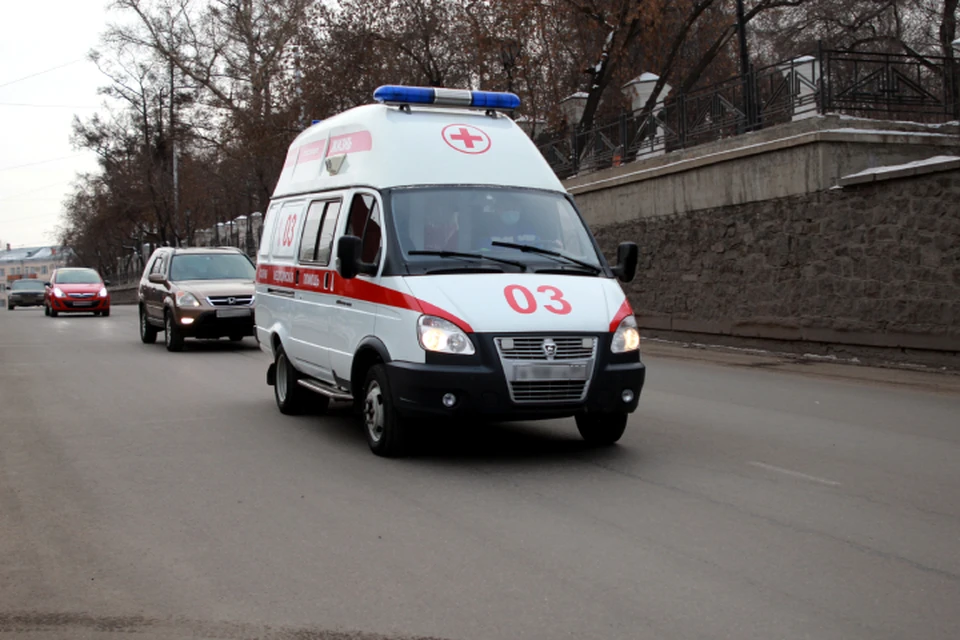В целом число отравлений в 2022 году снизилось почти на сотню по сравнению с предыдущим годом.