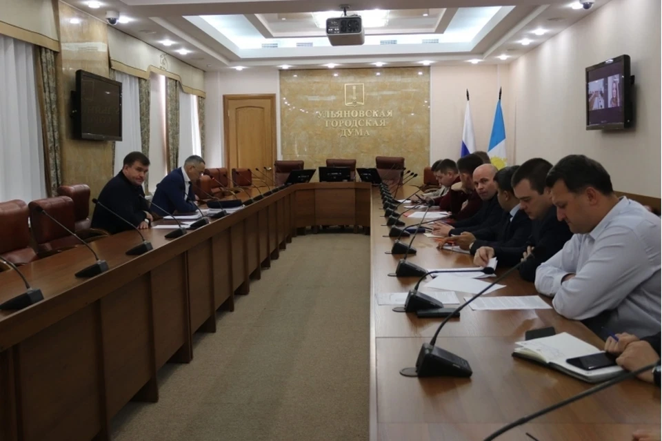 Ульяновцы пожаловались депутатам на плохой ремонт парков