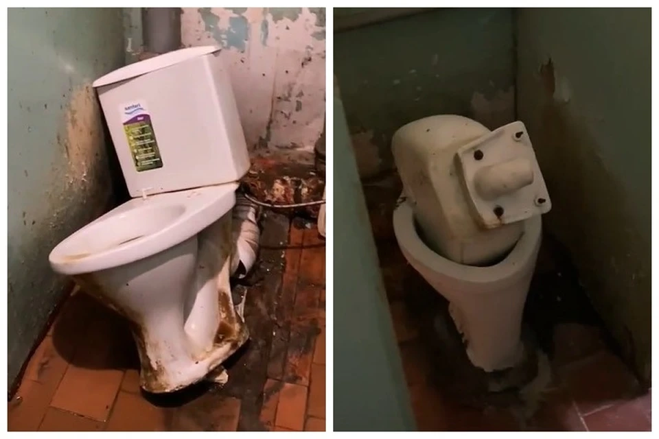 Фильмы про туалет