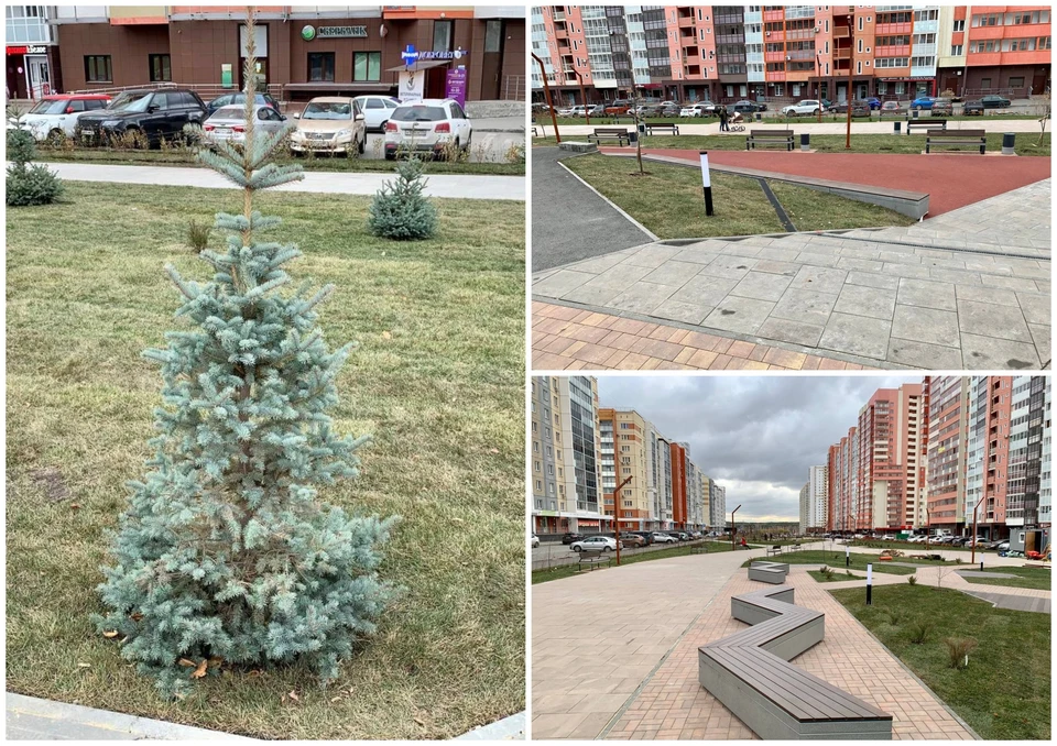 Фото: администрация Челябинска
