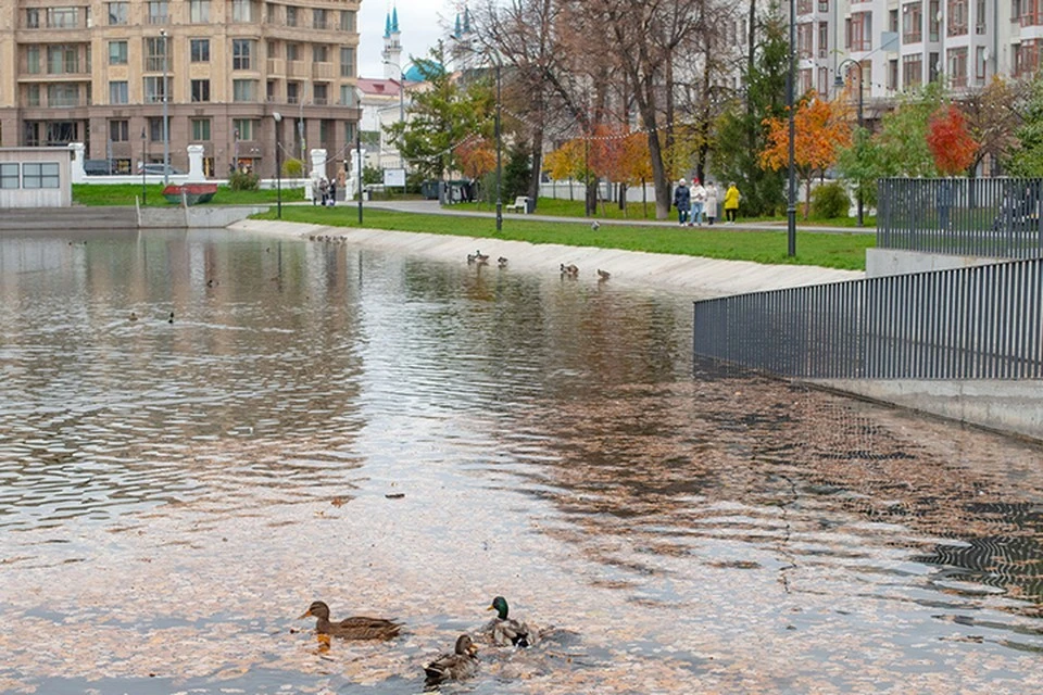 На этом месте традиционно оборудуют каток. Фото: Денис Гордийко