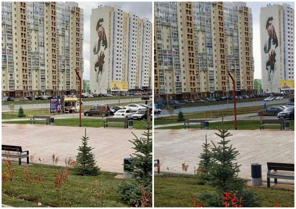 Фото: администрация Челябинска