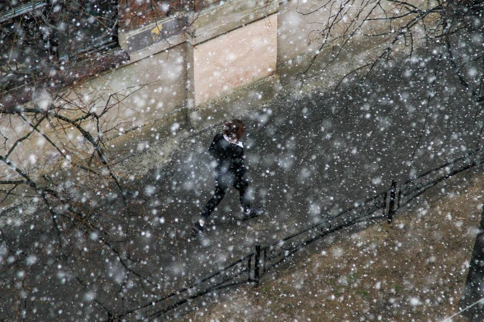 В Петербурге выпал первый снег.