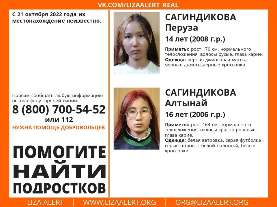 Фото: ЛизаАлерт