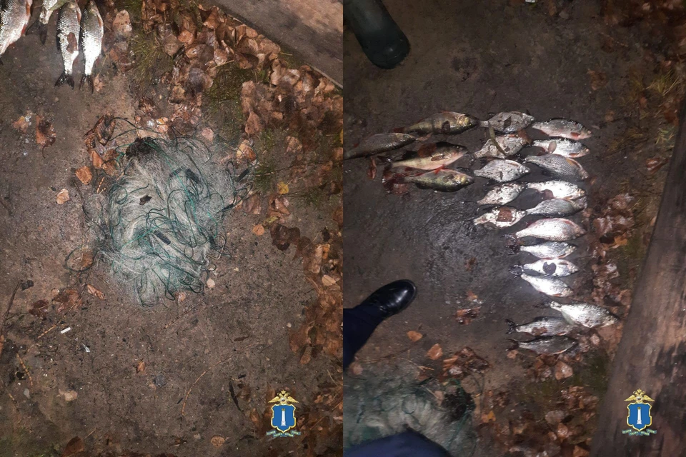 У браконьера изъяли улов и сеть