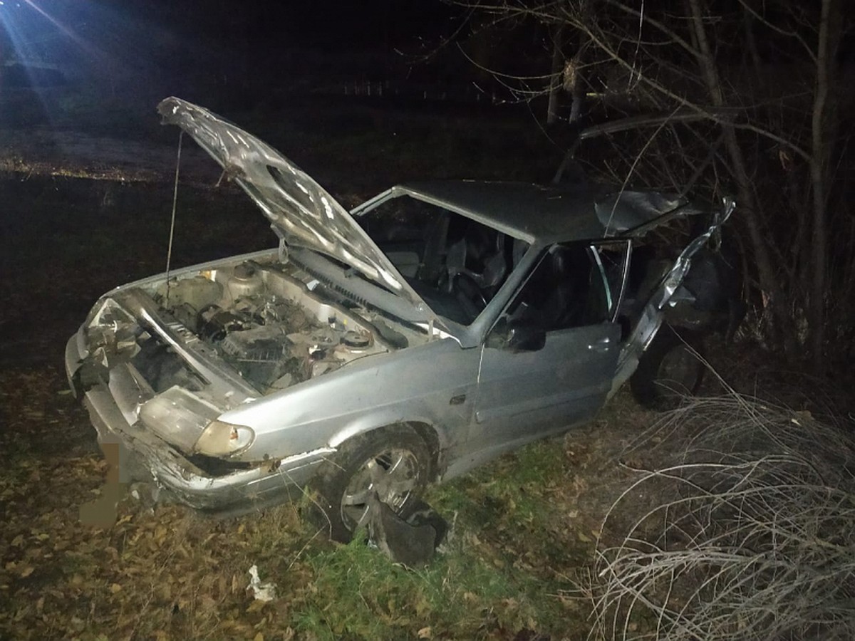 В Воронежской области водитель «Лады» врезался в дорожный знак и в дерево:  погиб сам и угробил двух пассажиров - KP.RU