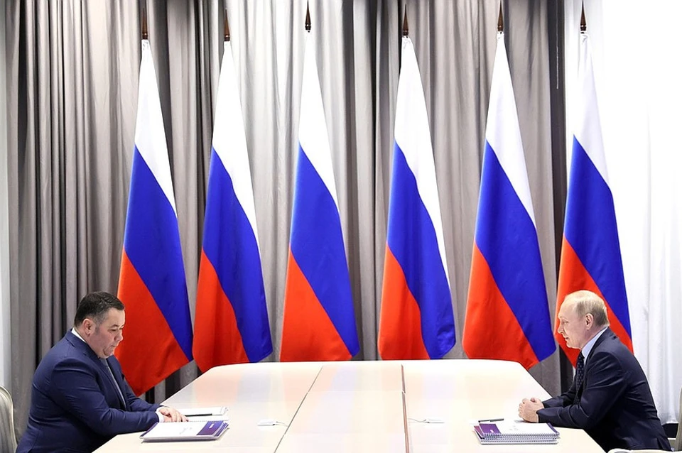 На встрече Президента РФ и главы региона. Фото: Сергей Савостьянов, ТАСС
