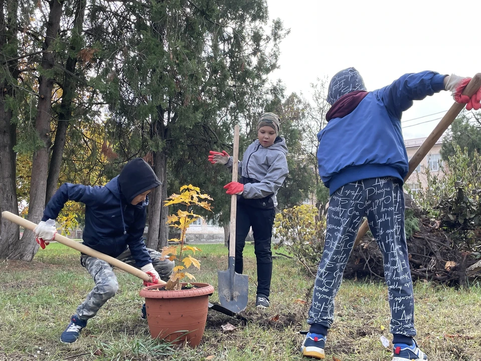 Фото: пресс-служба «Помоги городу».