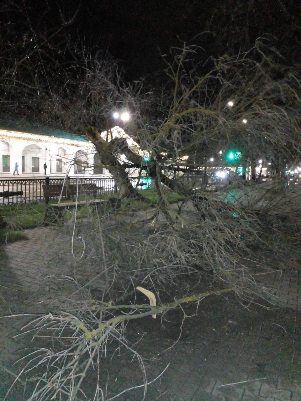 Фото: gradkostroma.ru