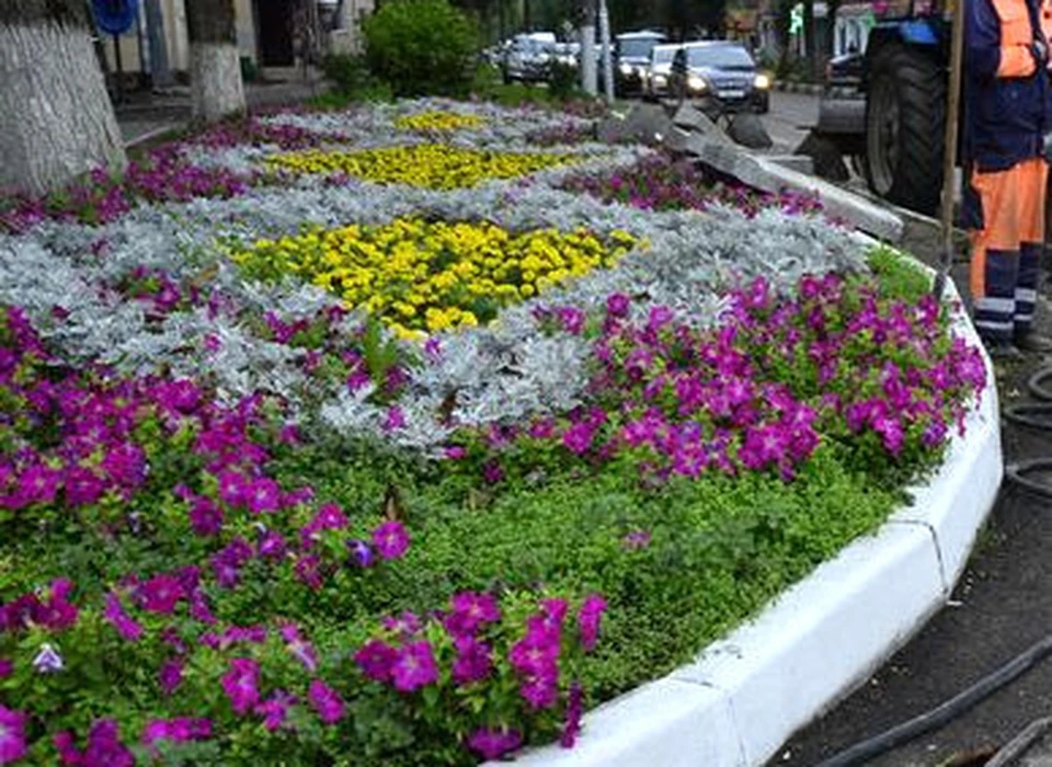В 2023 году в Туле высадят более 244 тысяч цветов