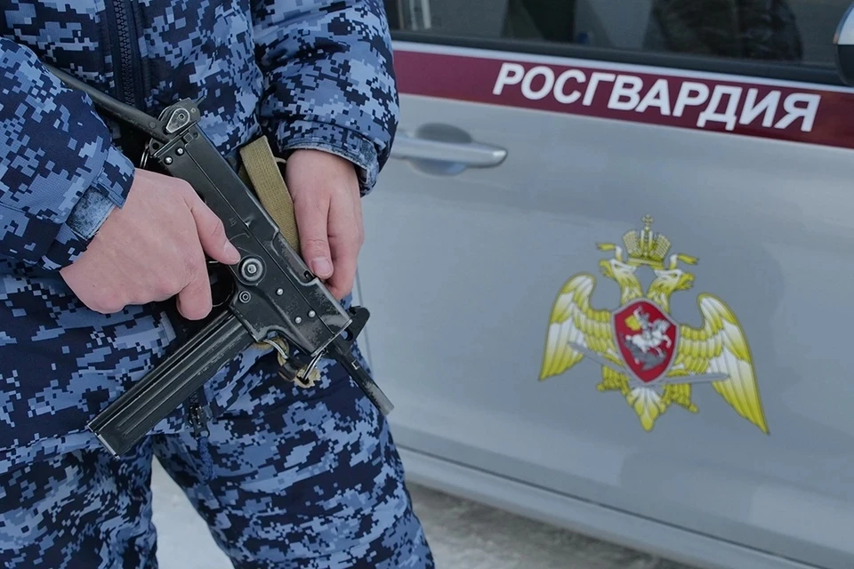 Злоумышленника задержала Росгвардия