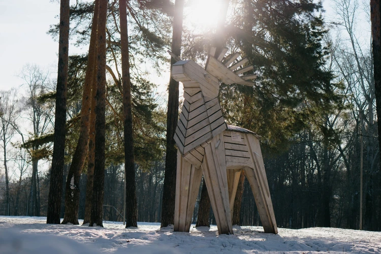 Мороз и солнце: лучшие фотографии заснеженного Ижевска