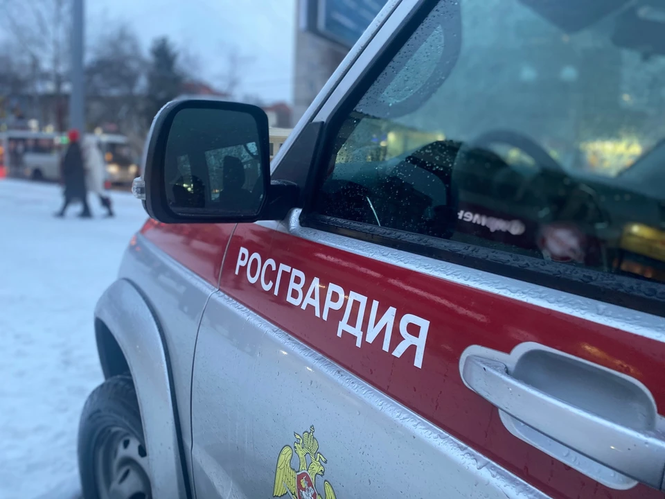 Потерпевшего врачебная бригада медиков госпитализировала в медицинское учреждение. Фото: Росгвардия по Томской области