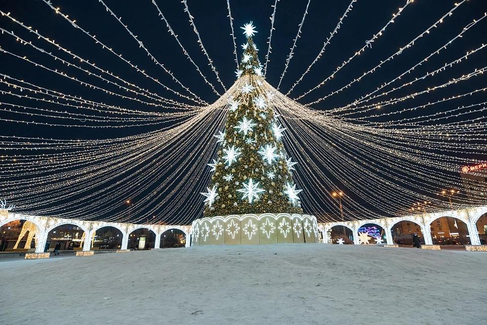 Огни на главной елке Мурманска зажгут 10 декабря. Фото: Администрация города Мурманска