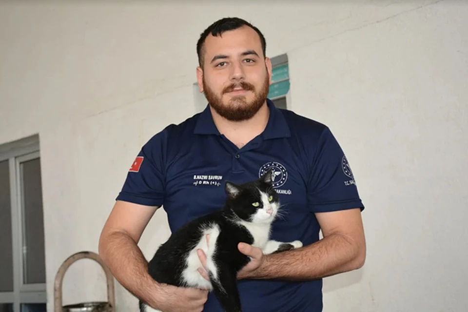 В турецком городе Битлис кошка со сломанной лапкой сама пришла в травмпункт. Медбрат Абузер Оздемир заметил необычного пациента и, вопреки правилам, осмотрел.