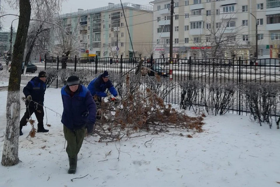 Сэс дзержинск. Последствия ледяного дождя. Ледяные деревья в Дзержинске. Ледяные деревья в Дзержинске Нижегородской.