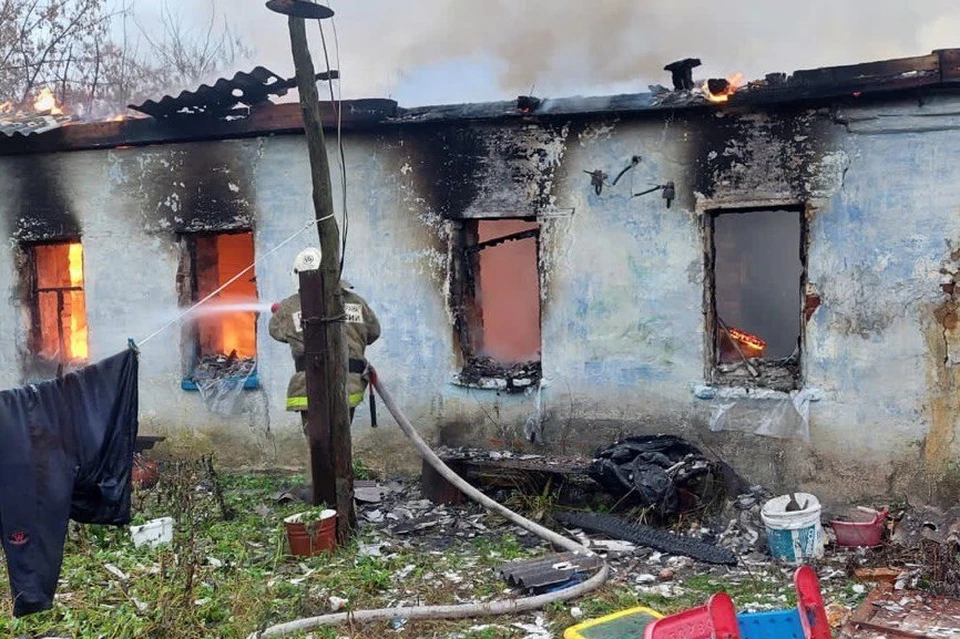 В пожарах под Липецком погибли мужчины