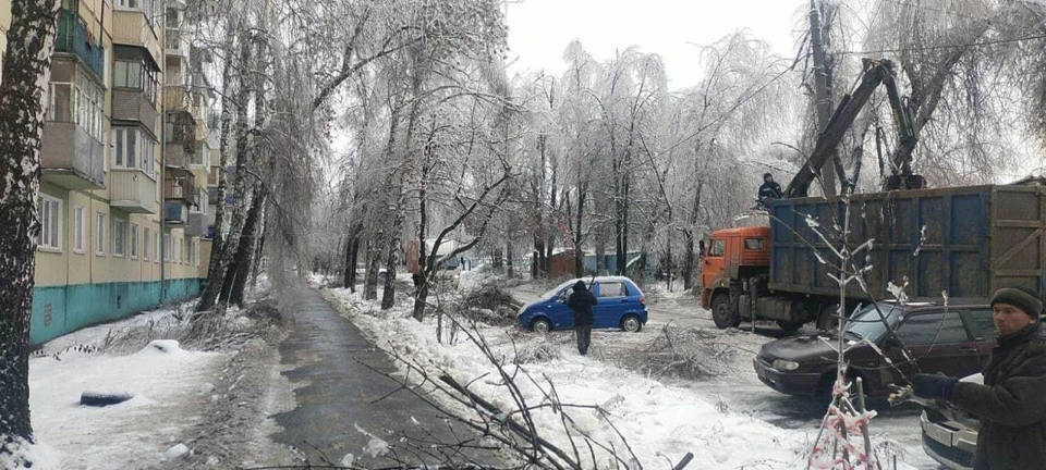 В городе продолжают убирать поломанные стволы и ветки