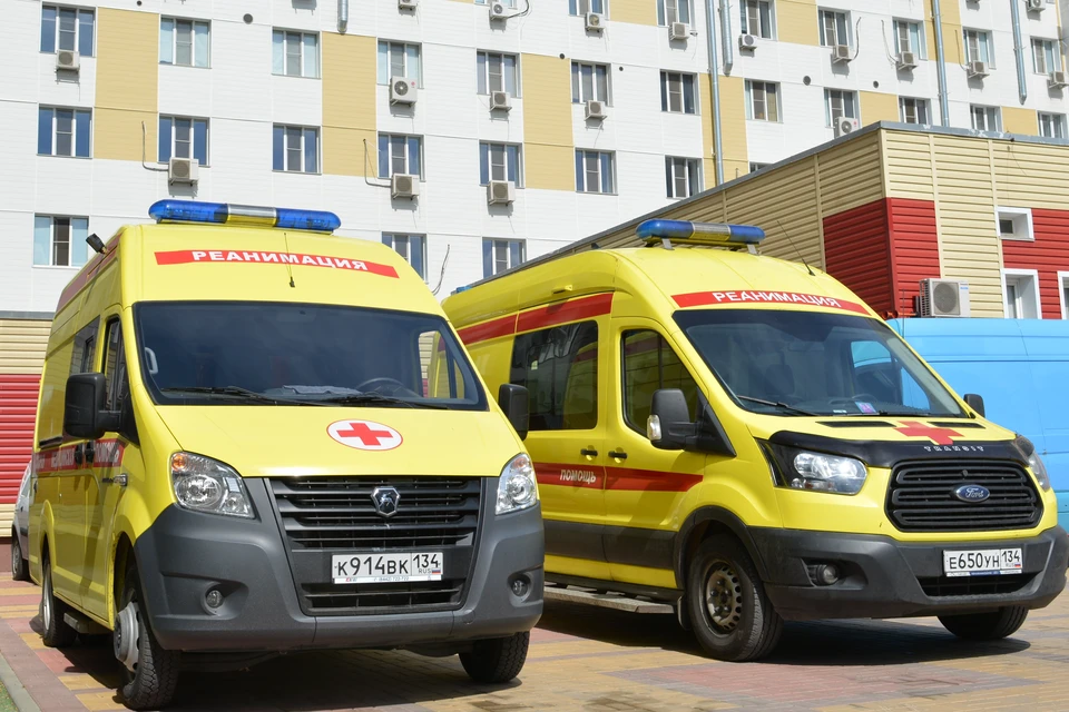 В Волгограде мужчина избил трубой сотрудницу службы отлова животных