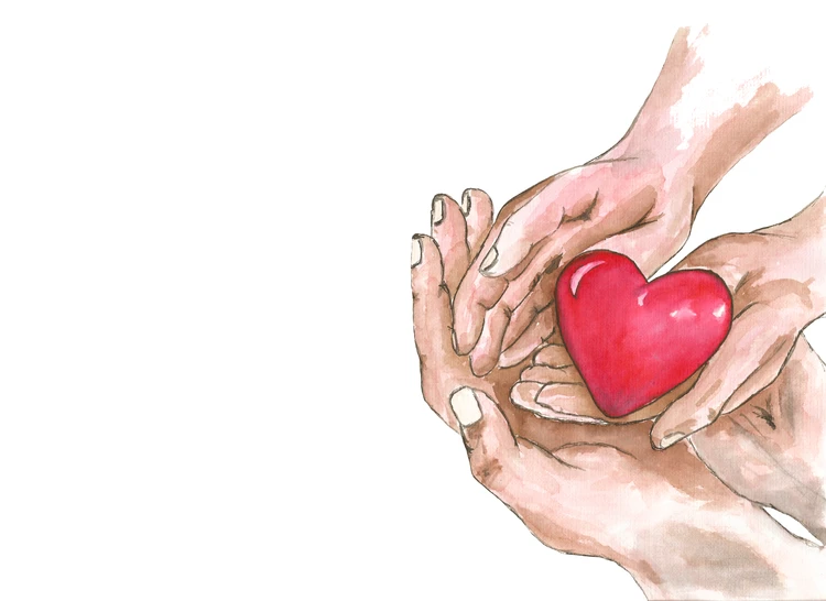 Семь органов — семь жизней: какие донорские органы пересаживают сегодня и кого они могут спасти