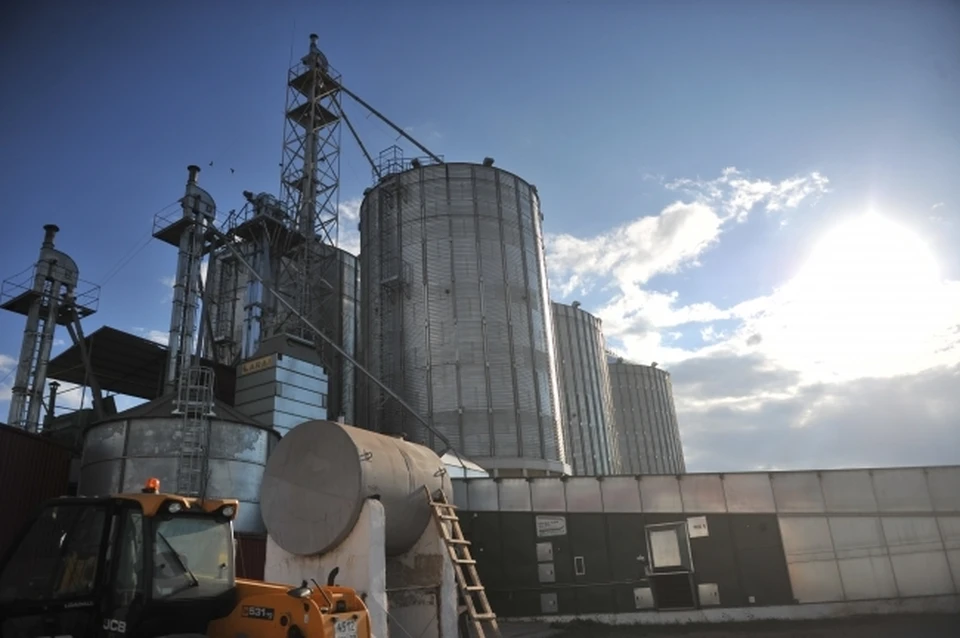 В Ермекеевском районе Башкирии могут построить мельничный комплекс с объёмом переработки до 120 тонн зерна в сутки
