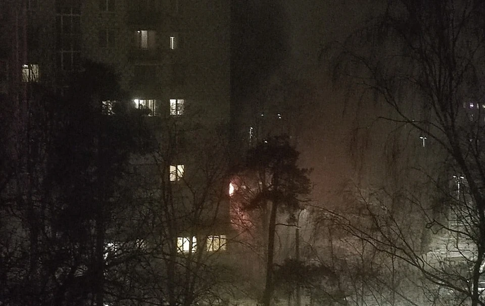 Дам и огонь из окна квартиры сфотографировали очевидцы. Фото: vk.com/spb_today