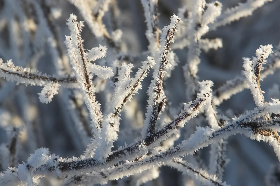 6 декабря в Ульяновской области в ночь - 27 градусов, но потом морозы начнут отступать
