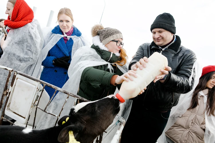 «Перекрёсток» и ГК «Эконива» организовали пресс-тур на молочную ферму