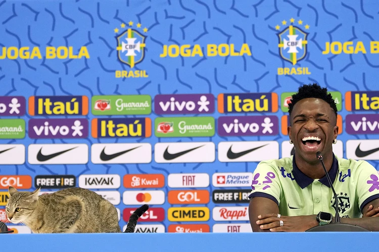 На пресс-конференции бразильской сборной по футболу пострадал ни в чем не повинный кот